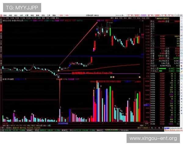 皇冠ceo投注网高赔率策略，帮助玩家提升盈利空间实现稳定盈利目标