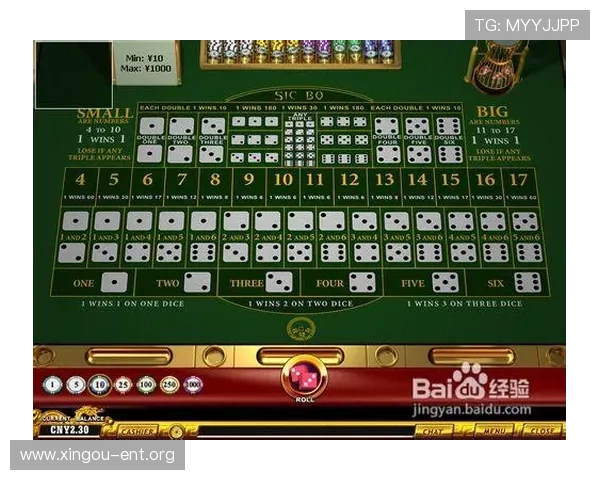 骰宝游戏技巧与策略全面解析助你轻松赢取大奖
