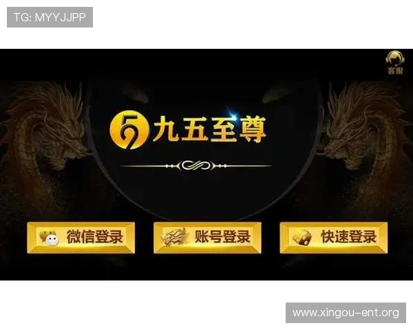 九五至尊手机电子游戏技巧攻略，提升你的游戏水平实现高分突破